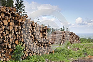Timber Stack