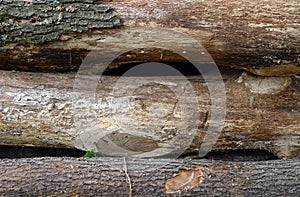 Timber stack detail