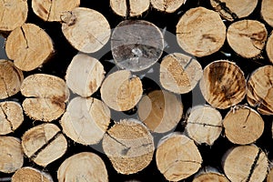 Timber with stacked for building pattern, logs wood lumber background