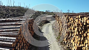 Timber stacks aerial at Bonny Glen in County Donegal - Ireland