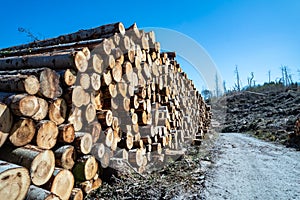 Timber stacks at Bonny Glen in County Donegal - Ireland