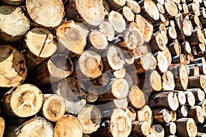 Timber stacks at Bonny Glen in County Donegal - Ireland