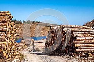 Timber stacks at Bonny Glen in County Donegal - Ireland