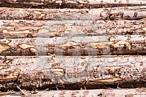 Timber stacks at Bonny Glen in County Donegal - Ireland