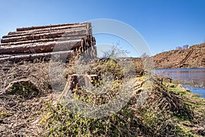 Timber stacks at Bonny Glen in County Donegal - Ireland