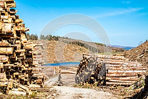 Timber stacks at Bonny Glen in County Donegal - Ireland