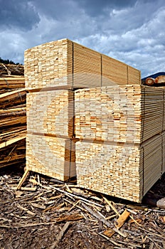 Timber stock supply