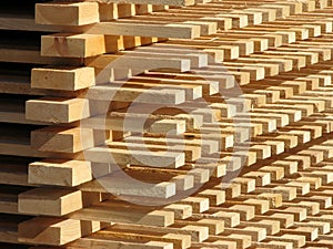 Timber supply