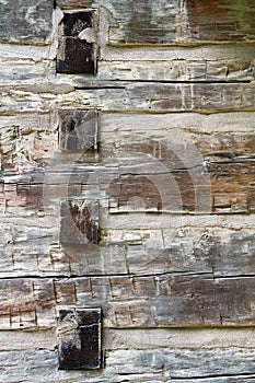 Timber Texture