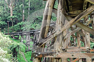Timber trestle railway bridge in the Dandenong Ranges photo