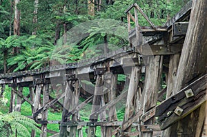 Timber trestle railway bridge in the Dandenong Ranges photo