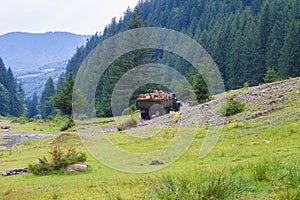 Timber truck on a background of mountains
