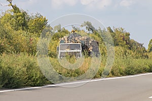 Timber truck with a forest rides on the highway with cargo