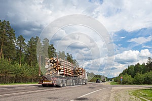 Timber truck. Giant timber truck on delivery.