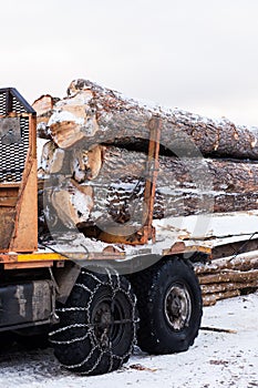 Timber truck just finished loading