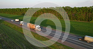 Timber truck moving on the freeway, aerial shot