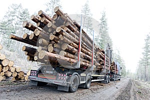 Timber truck on swedish dirt road