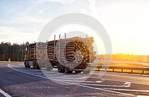 Timber truck with a trailer to transport long timber logs along the motorway. Timber transportation, industrial