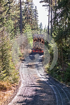 Timber Truck on a winding dirt road