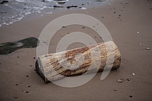 Timber washed ashore