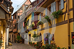 Timbered houses in Alsace, France photo