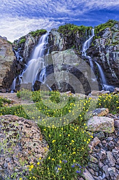 Timberline Cascade of Water and WIldflowers photo