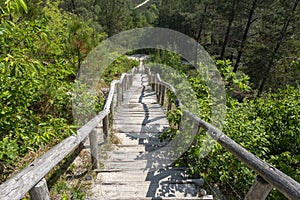 Timbre wooden stairs in the dunes near the sea in the netherlands photo