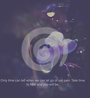 Only time can truly heal us.