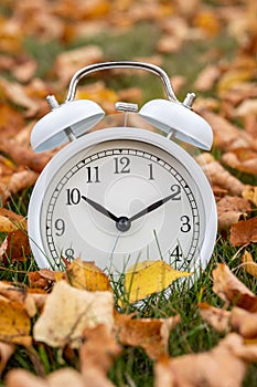 Time change, classic white alarm clock outside on grass and moss with fall color in many yellow birch leaves