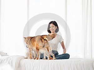 A time of chaos with dog pets walking and smelling on bed sheet while Asian pretty girl looking and smiling this adorable activity