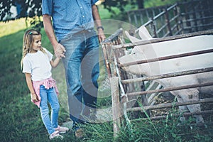 Time the farm with grandfather are nice moments.