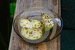 Time for a feed, fruit flies feed on a cut apple