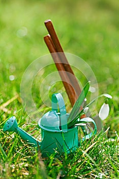 time for garden nowÃ¢â‚¬Â¦. decorative small gardening tools and snowdrops on grass