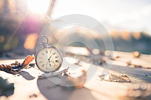 Time goes by: vintage watch outdoors; wood and leaves