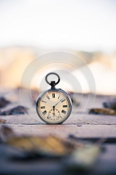 Time goes by: vintage watch outdoors; wood and leaves