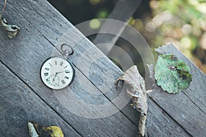 Time goes by: vintage watch outdoors; wood and leaves