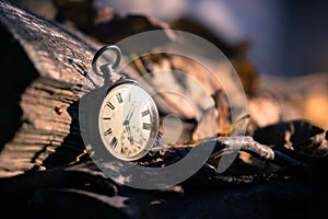 Time goes by: vintage watch outdoors; wood and leaves