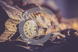 Time goes by: vintage watch outdoors; wood and leaves