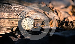 Time goes by: vintage watch outdoors; wood and leaves