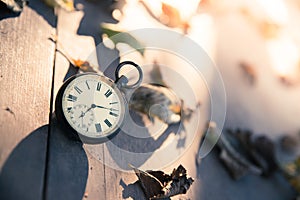 Time goes by: vintage watch outdoors; wood, leaves and sunshine