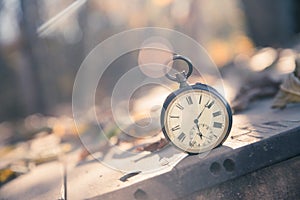 Time goes by: vintage watch outdoors; wood, leaves and sunshine