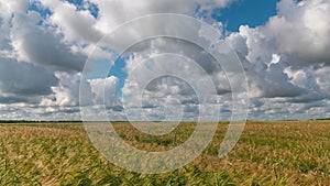 Time laps landscape of wheat field at harvest