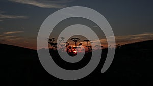 Time Lapse - Beautiful nature trees and sky in motion