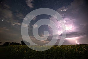 Time-lapse. Beautiful thunderstorm with clouds and lightning over a field with sunflowers at night