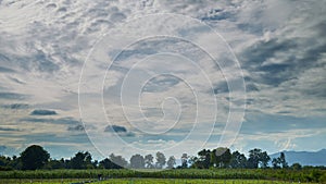 Time-lapse cloud before storm above summer landscape