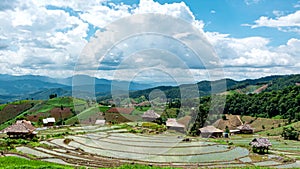 Time lapse, clouds moving over the rice fields