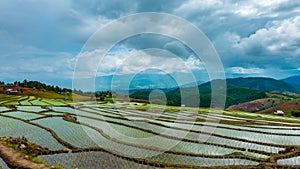 Time lapse, Clouds moving over the rice fields reflected in the water
