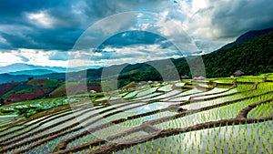 Time lapse, Clouds moving over the rice fields reflected in the water