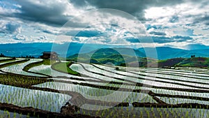 Time lapse, Clouds moving over the rice fields reflected in the water