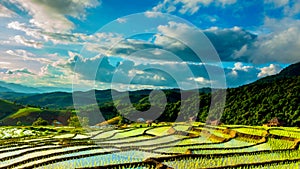 Time lapse, clouds moving over the rice fields reflected in the water